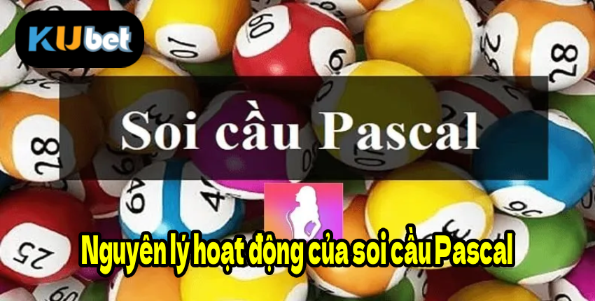 Nguyên lý hoạt động của soi cầu Pascal