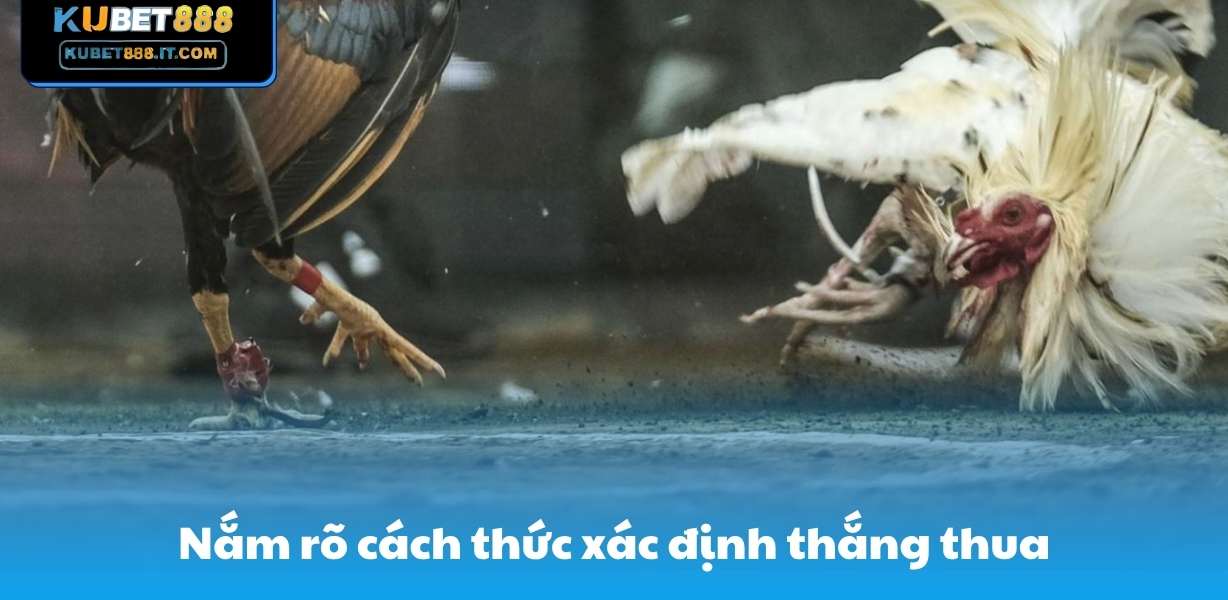 Nắm rõ cách thức xác định thắng thua