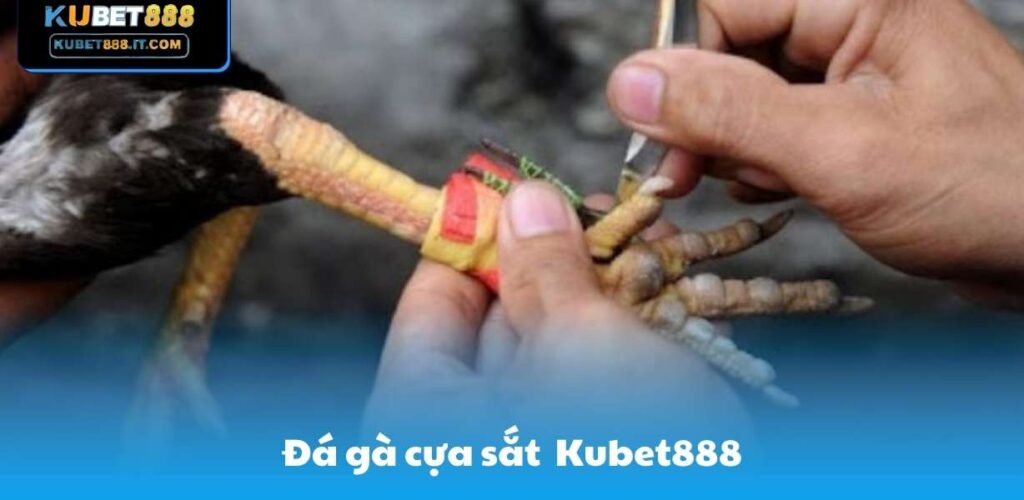 Kubet888