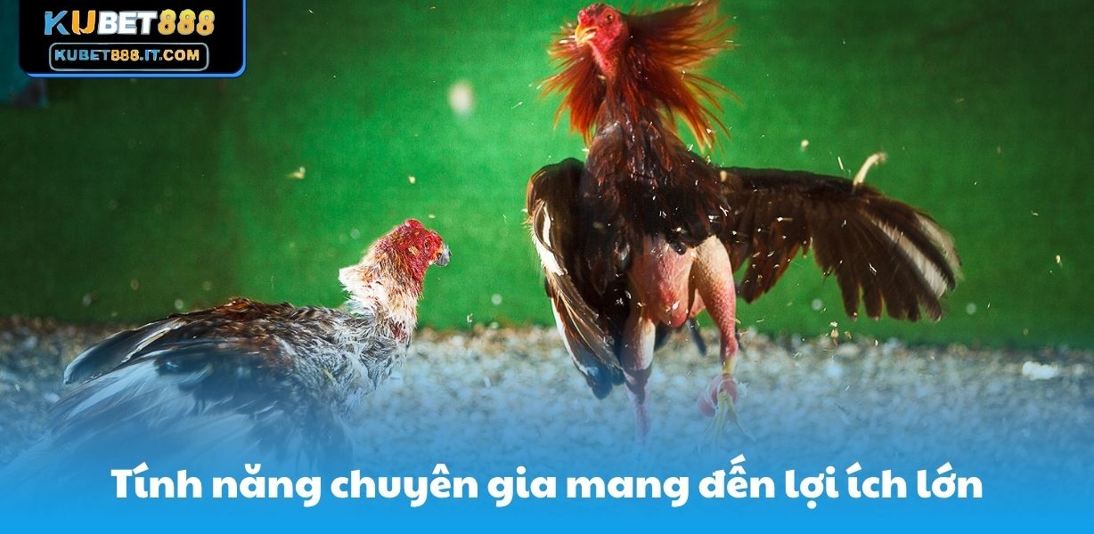 Tính năng chuyên gia mang đến lợi ích lớn