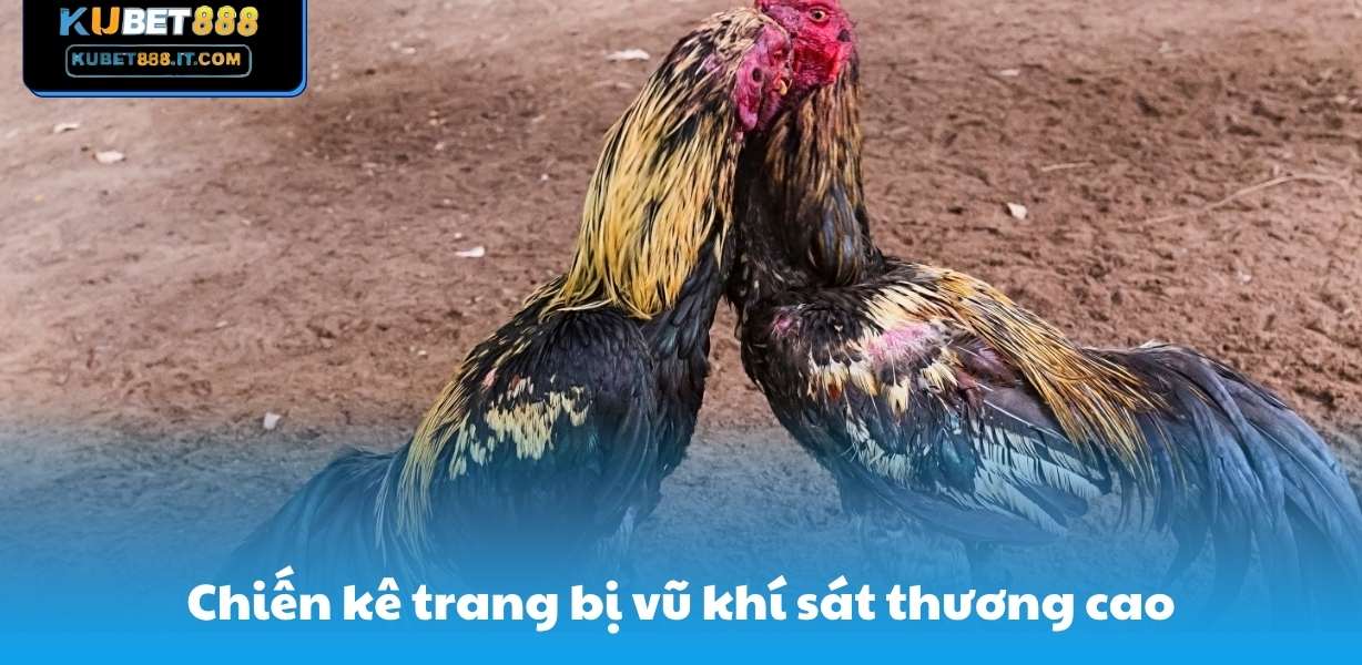 Kubet888 Chiến kê trang bị vũ khí sát thương cao