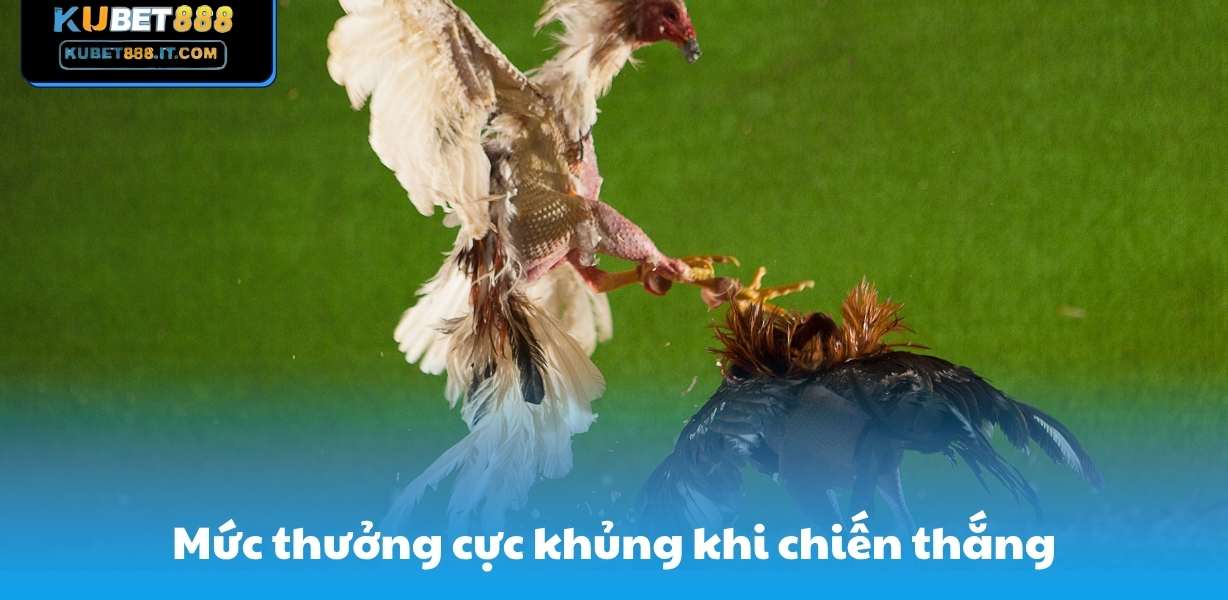 Kubet888 Mức thưởng cực khủng khi chiến thắng