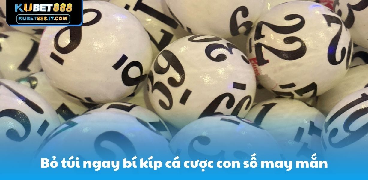 Bỏ túi ngay bí kíp cá cược con số may mắn